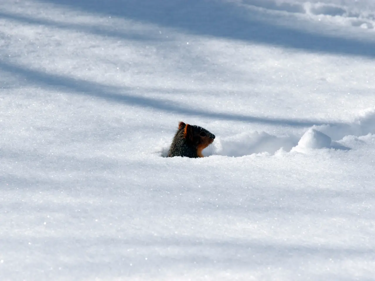 Green Winter Living: Environmentally Friendly Tips for Cold Weather Months