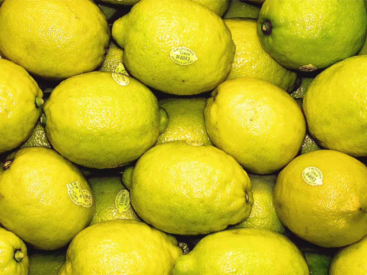 Guide on Utilizing Lemon8: Publish Content, Earn Income, and Amass Followers