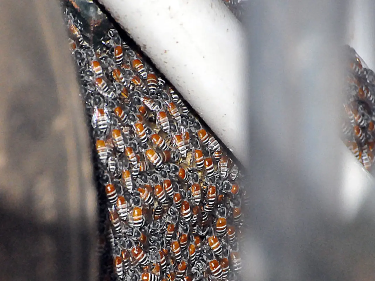 Sky news provides updates on ongoing quarterly ventures