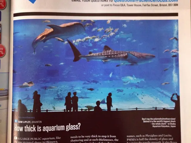 Revitalizing Indigenous Languages: Youth Fellows Are Embracing Their Cultural Heritage