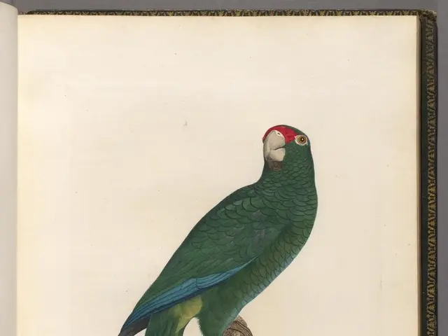 Transformed Statements that Bolster Your Issue-Resolving Abilities: