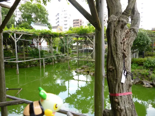 Obstacles in Achieving Universal Access to Clean Water within Malawi