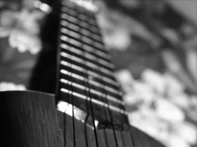 Exploring career prospects with a music degree: unveiling potential paths in the music industry.