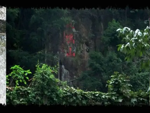 Strategies for Integrating Photographic Elements into Nature Research for Astonishment: