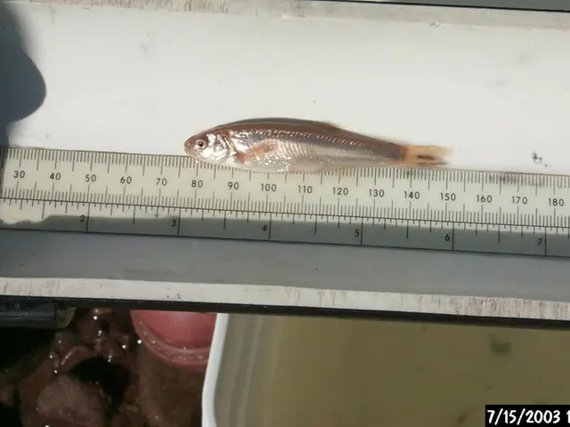 Top-tier Time Management Software for Consultants: Highlighted Choices and Key Attributes