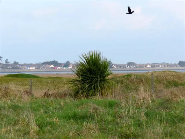 The Significance of Establishing Early Bonds with Nature