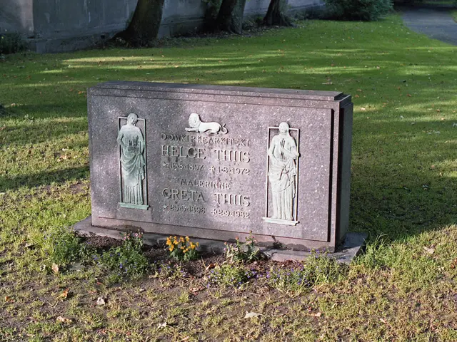 Cross-border Recollections: Reflections Sharing Across International Lines