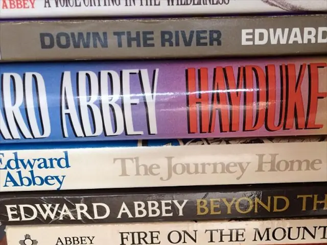 Critique: The School for Good and Evil Series Books 4-6, penned by Sonam Chainani - A Summation