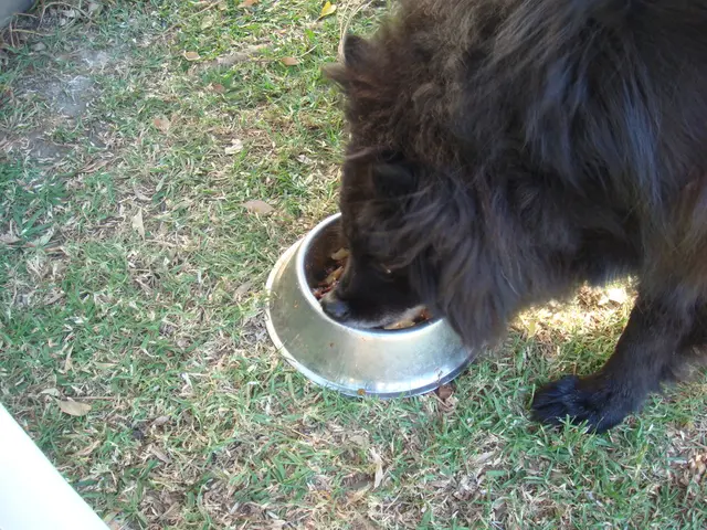 India-Sri Lanka Livestock Conference Signals Fresh Era in Bilateral Collaboration