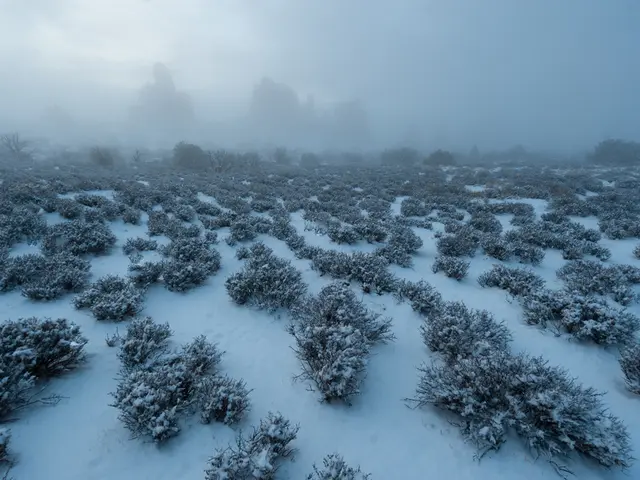 Top 12 Outdoor Applications for Nature Identification, Inspiring Awe Each Day