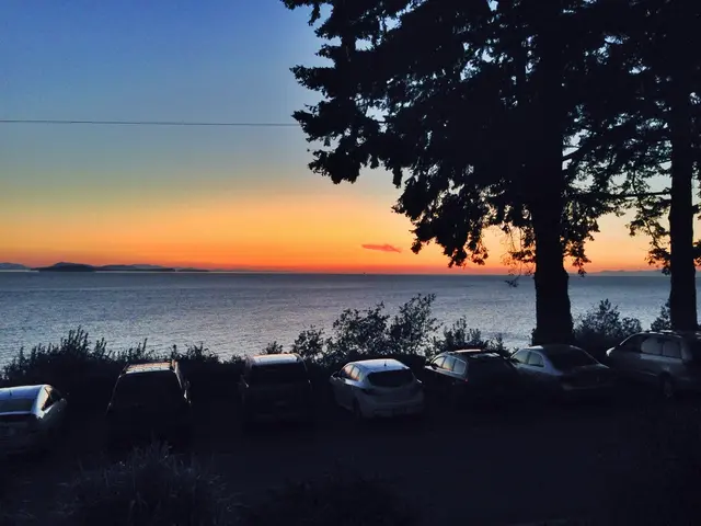 Exploiting Nature's Arsenal: Utilizing Natural Resources for On-Site Climate Crisis Remedies