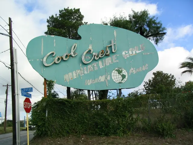 Understanding Cyber Threats: An In-depth Examination