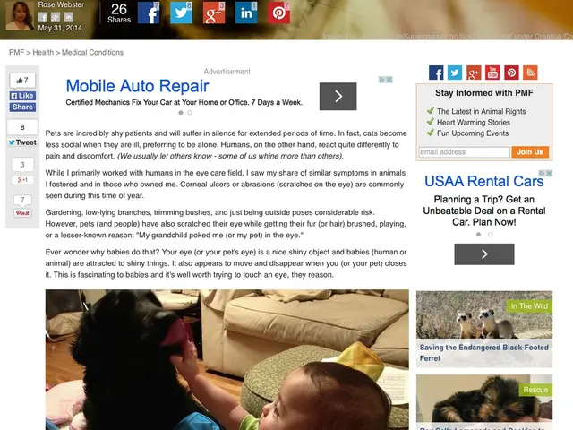 Strategies for assisting kids in navigating the loss of a beloved pet