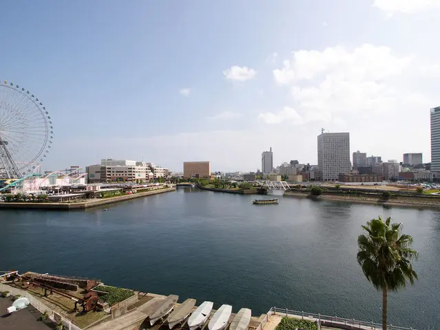 Transformational Ascension: Discover 7 Methods for Amplifying Wealth and Opportunities