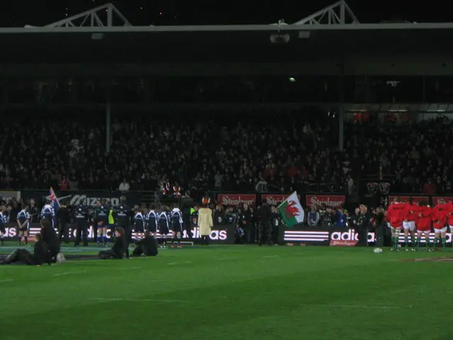 "The ideological stance of the AfD party is centered around anti-Semitism"