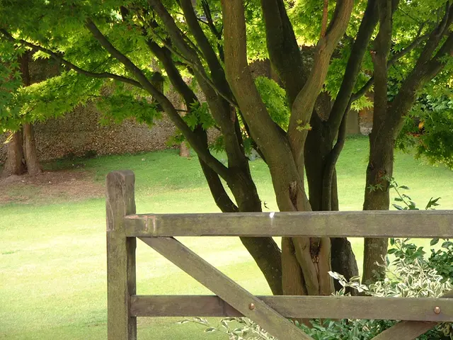 Strategies for Cultivating an Eco-Friendly Business Atmosphere