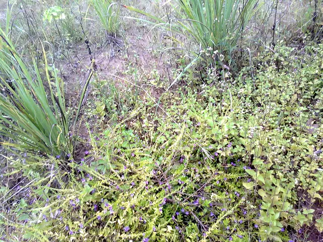 Solar System Puzzle Solutions: Comprehensive Guide