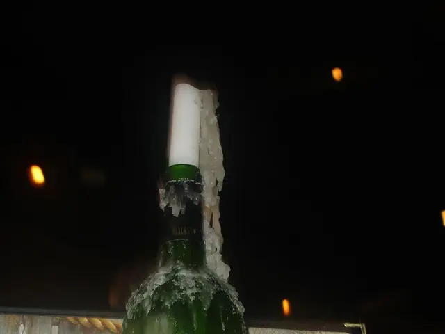 Guides demonstrating applications and offerings for consumer use