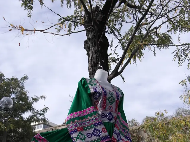 Guidelines for Launching a Full- Figured Apparel Enterprise and Expanding Your Recognition