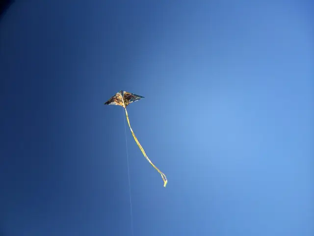 Fun Wind-Powered Activities for Children