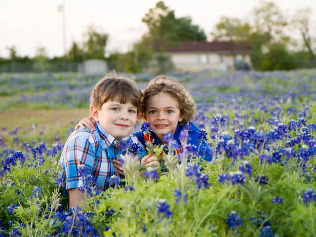 Youth-oriented activities arranged during the summer months in Petropaul-Kamchatsky