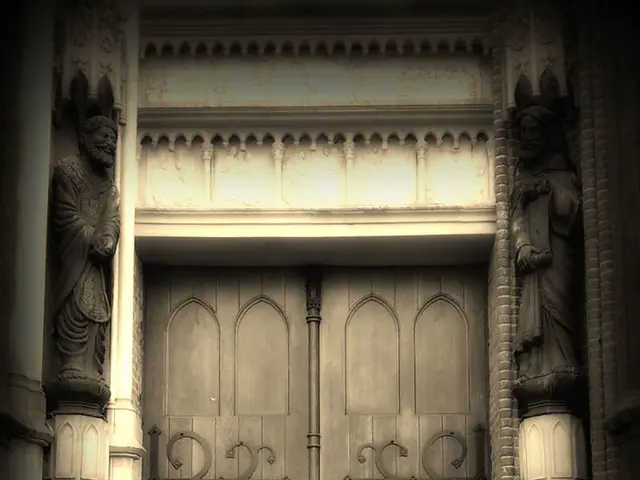 Amber Explained: Origin, Formation, and Importance Detailed