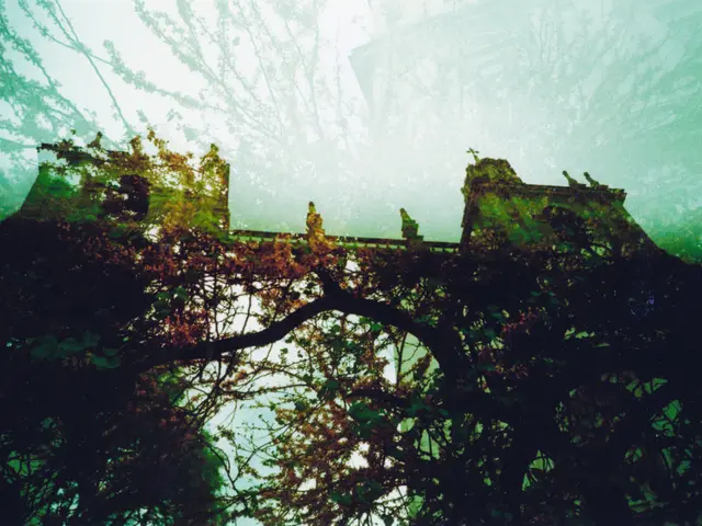 Historic Building Preservation: Blending Artistry and Science