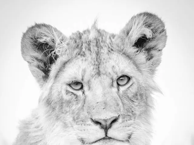 Strict Parenting Approach: Worth the Effort or Not?