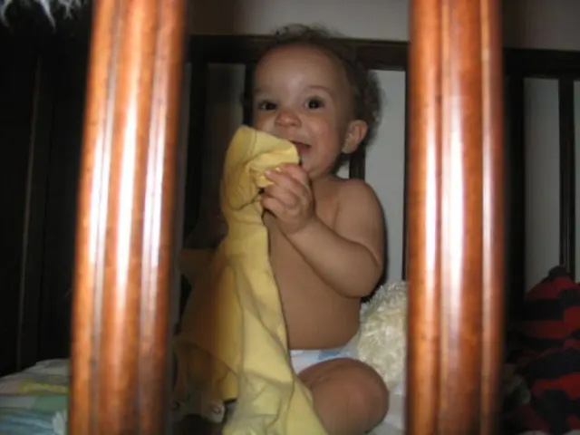 Factory Employment Ban for Minors as Per Article 24