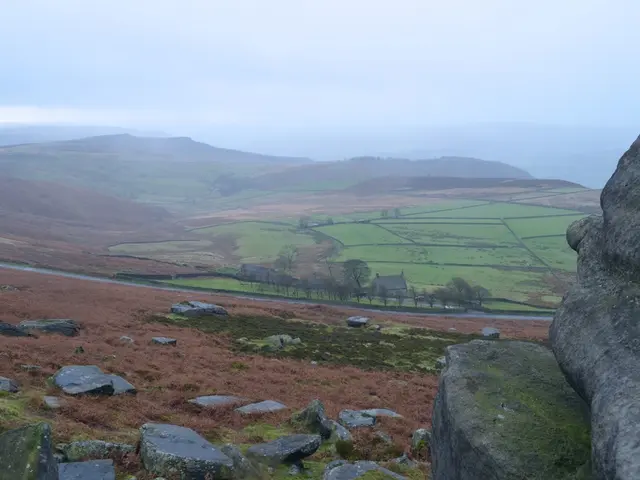 Nation Composition by Palak Chauhan