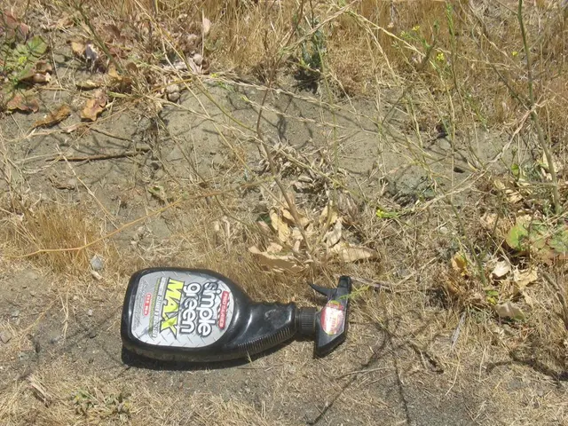 Hot Weather Woes: Confronting the Unseen Impact of Humidity on Corn This Summer Season