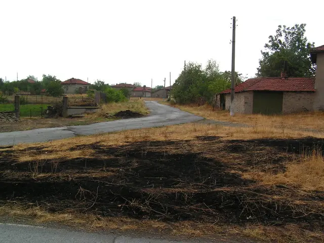 Strategies for Utilizing Community Assets for Education Initiatives that Foster Learning...