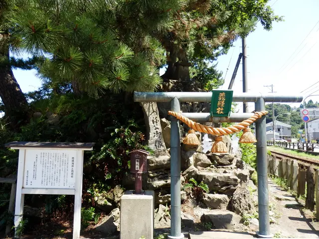 China's university launches the country's inaugural BBQ research center, training 1,000 specialists...