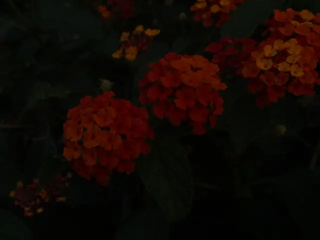 Techniques and Commodities for Managing Marijuana Overgrowth in Farming