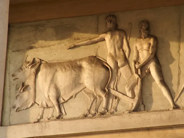 Revamped Partners for the 2025 Earth Fund Grant: Aiding the Rejuvenation of the Arts and the...