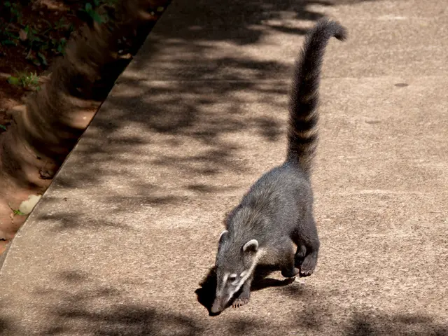 Chronic Stress Effects on Digestion and General Health