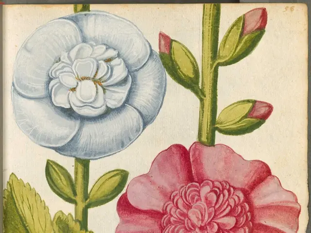 Guide for Amateurs on Crafting Botanical Watercolor Paintings