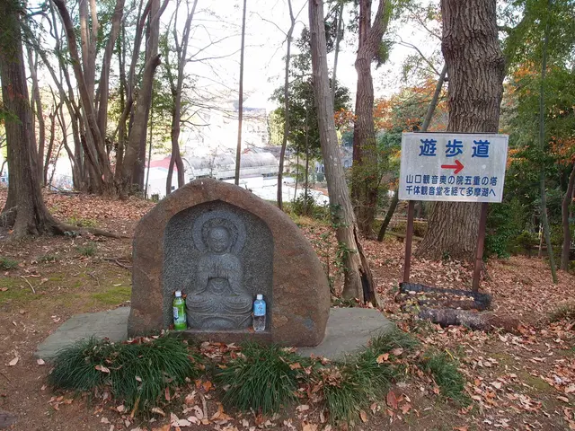 Strategies Revealed for Navigating a World of Distraction