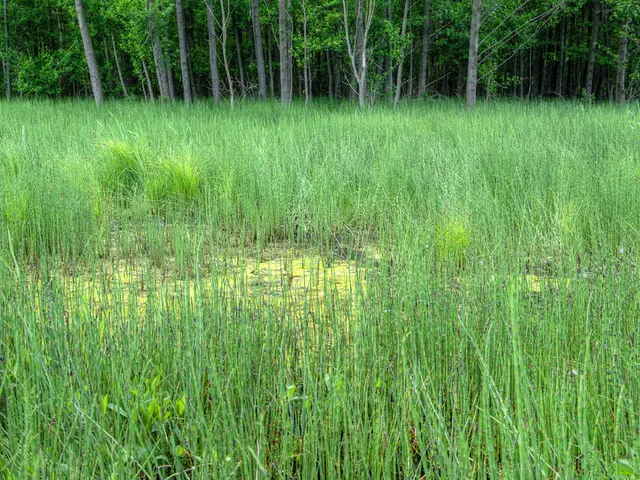 Remarkable Continuation of Biostimulant Interest, Despite a 86% Reduction in Funding Allotted