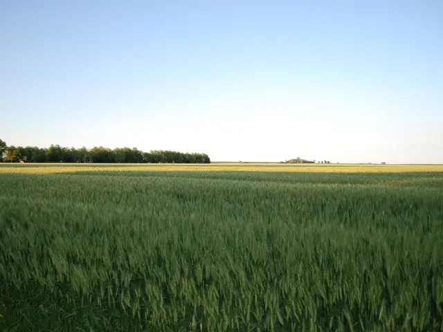 UK and FAO Initiate ReAL Project to Aid Over 150,000 Afghan Citizens Confronting Food Shortages and...