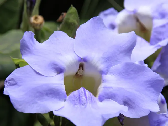 Transformation in Daily Life: The Impact of Brief Rest Periods