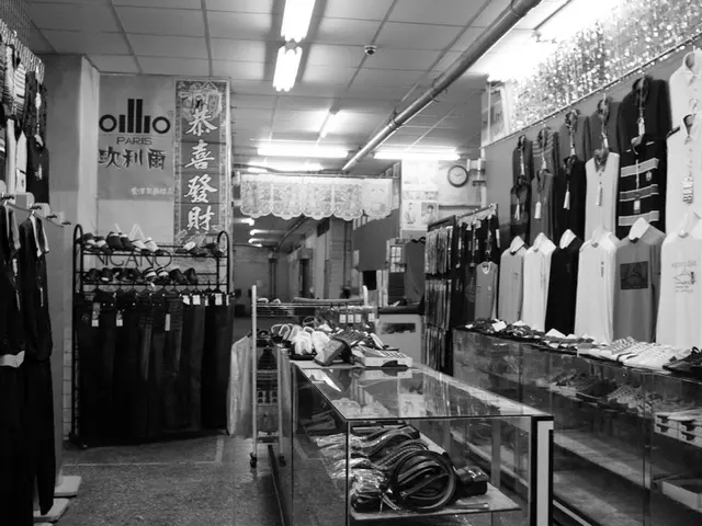 Fast Fashion's Repercussions Examined