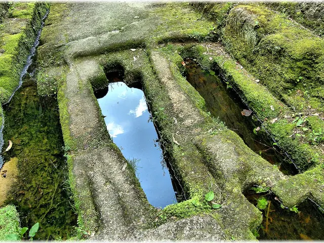 Investigating Green Hydrogen's Impact on Developing Countries: Assessing Reality Beyond the...