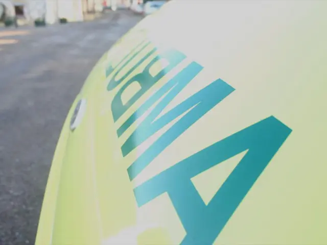 Creating a Cannon for Schoolwork: The Surprising Advantages of Flexible Projects for Students