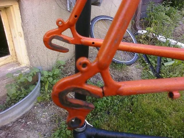 Alkaline Earth Metals' Valence Electrons: A Detailed Analysis