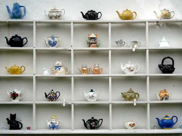 Exploring the Differences: A Foundation Course for Novice Clay Artists in Ceramics and Pottery