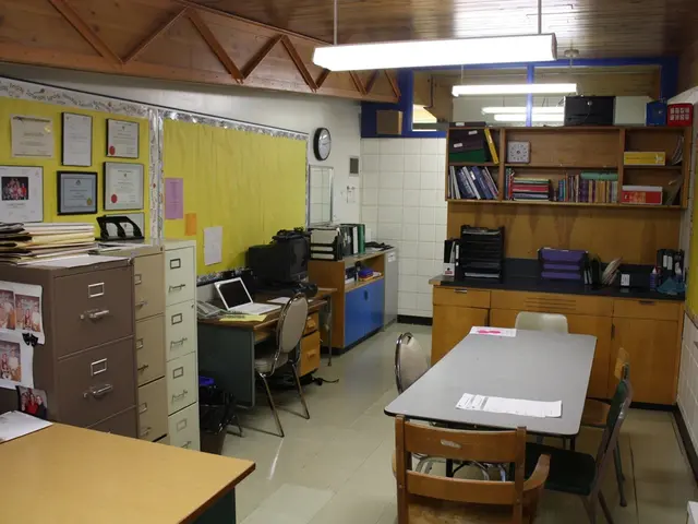 Tips for School-Based Occupational Therapy and Organizational Strategies