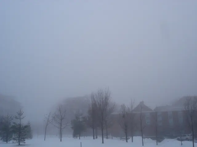 Intense Cold and Fog Causing Delays in Flights for Delhi; Follow Live Updates for Latest...