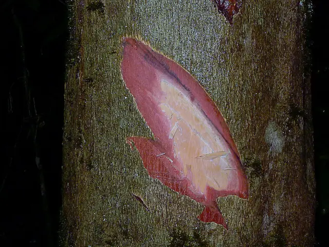 Kazakhstan adjusts methods in educating teachers for STEM subjects