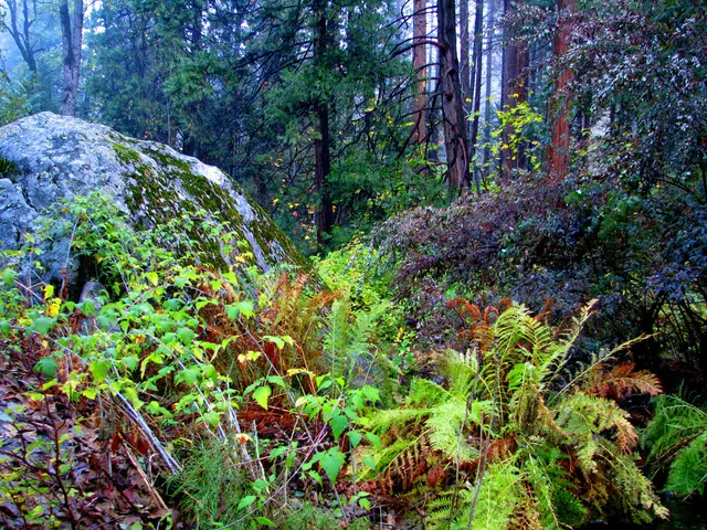 Mississippi Yields Gigantic Mammoth Tusk, Measuring 7 Feet and Weighing 600 Pounds